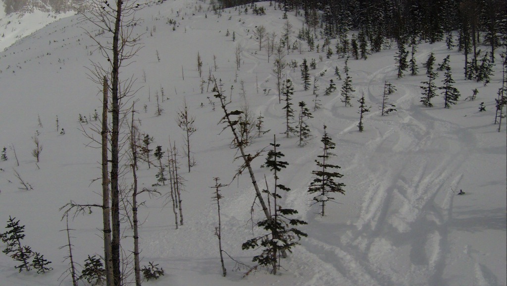 122524-g0680832.jpg