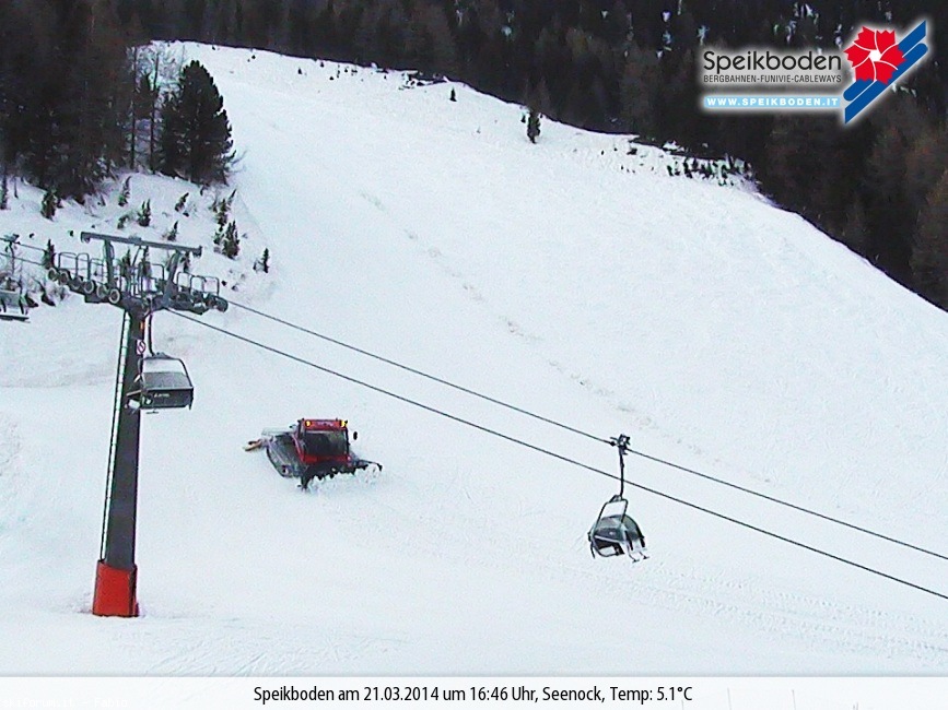 122706-gatti-neve-bild6-gross.jpg