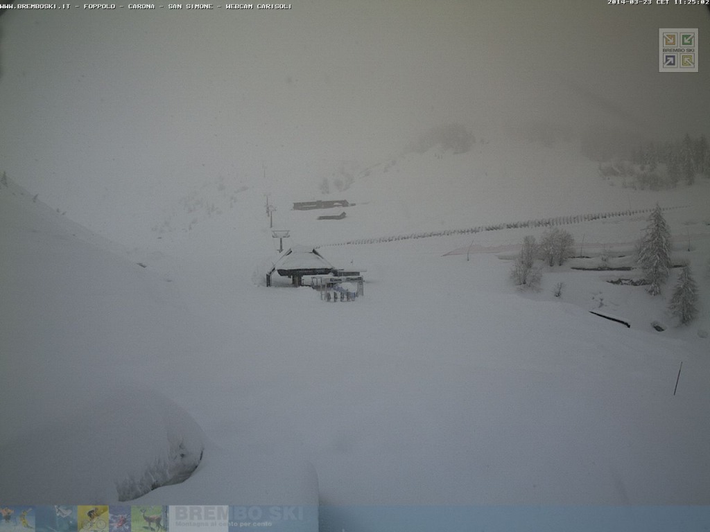 122890-carisoli01.jpg