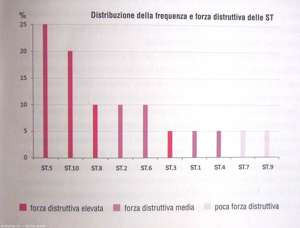 123110-valanghestlibro-dsc02000.jpg