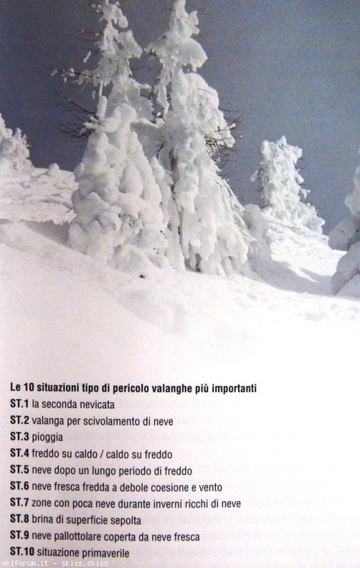 123111-valanghestlibro-dsc02001.jpg