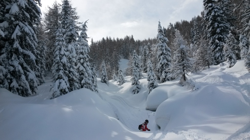 123302-aprica-24-marzo-2014-20140324103304.jpg