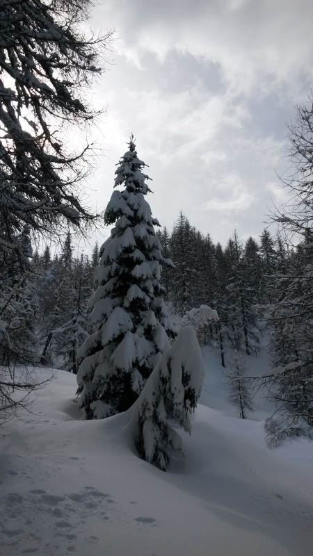 123303-aprica-24-marzo-2014-20140324111030.jpg