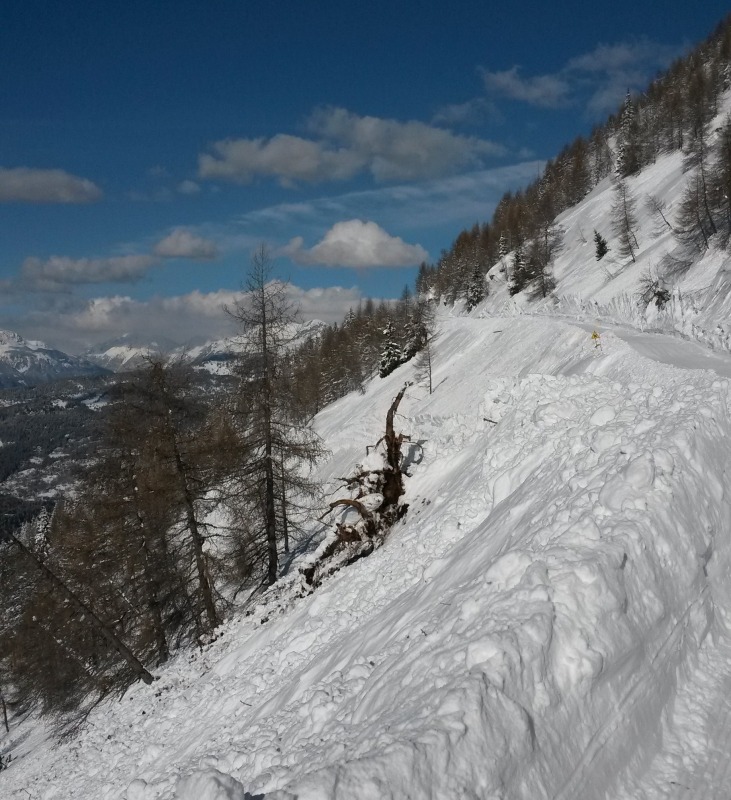 123304-aprica-24-marzo-2014-20140324155715.jpg