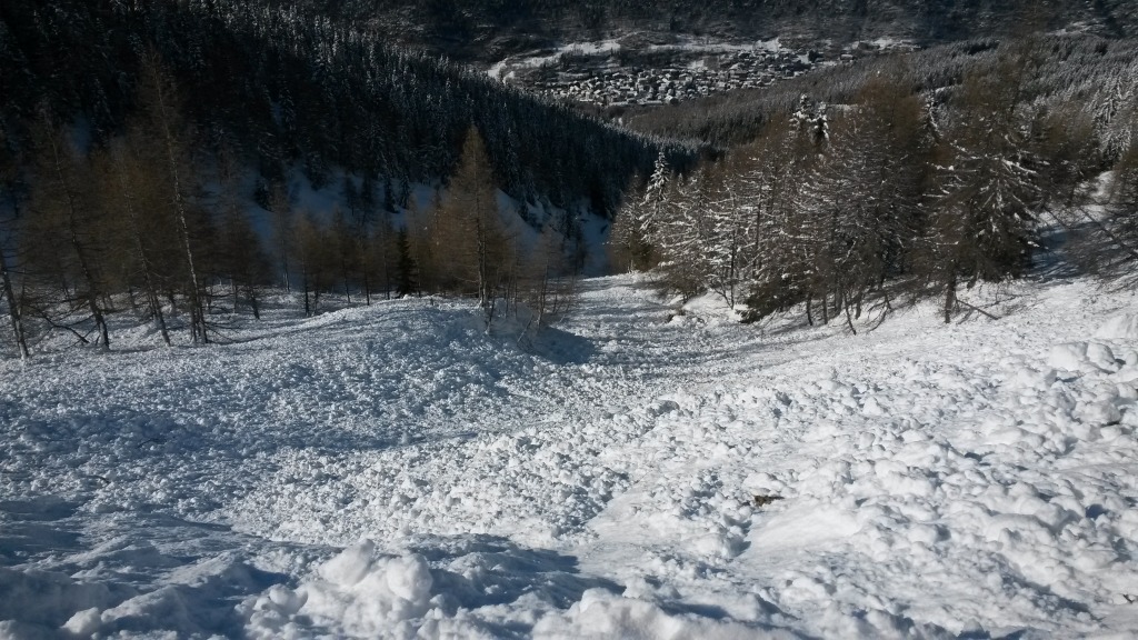 123305-aprica-24-marzo-2014-20140324155718.jpg