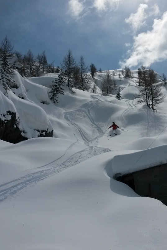 123315-aprica-24-marzo-2014-panettoni.jpg
