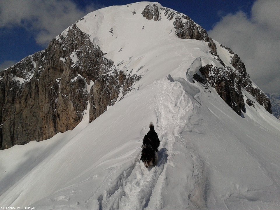 123423-colere-monte-ferrante-2427mt-101353110202403765433677293268159n.jpg