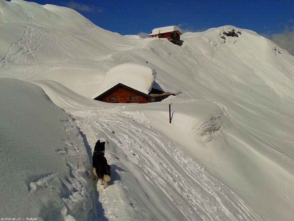 123433-colere-monte-ferrante-2427mt-10155694102024037628736131033454332n.jpg