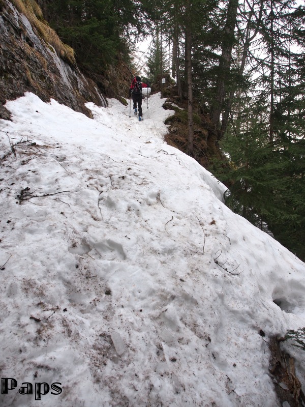 123598-p3304111risultato.jpg