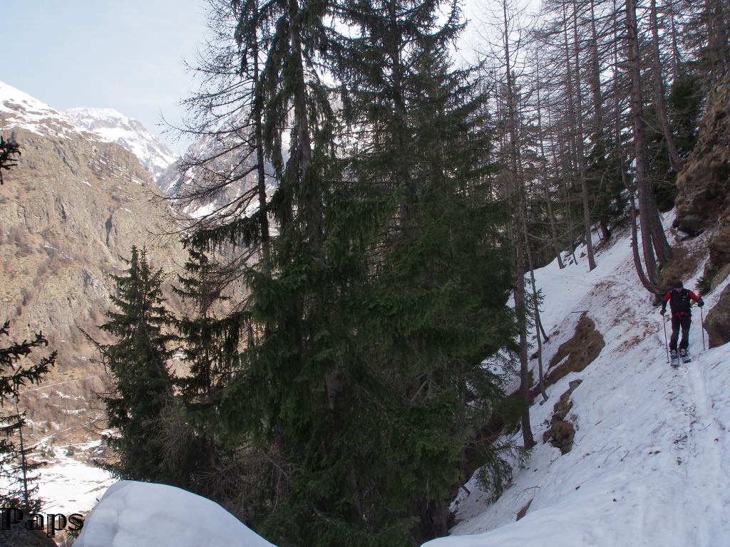 123600-p3304114risultato.jpg