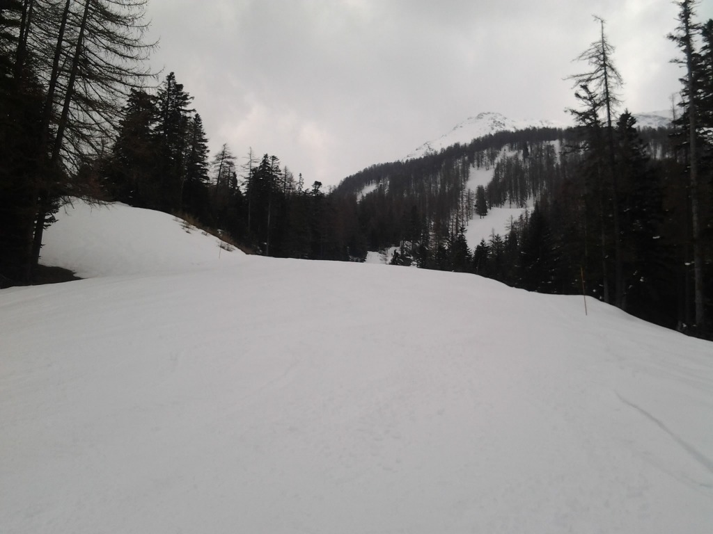 123868-pista-8-rossignol-2014-03-29-13.49.55.jpg