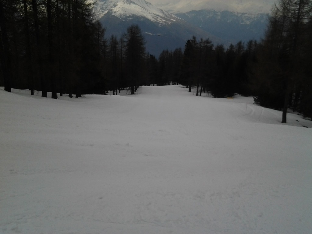 123872-pista-1-martinetto-2014-03-29-14.21.29.jpg
