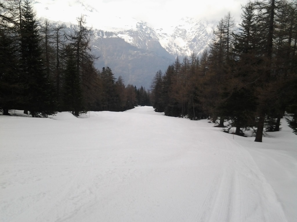 123873-pista-1-martinetto-2014-03-29-14.22.16.jpg