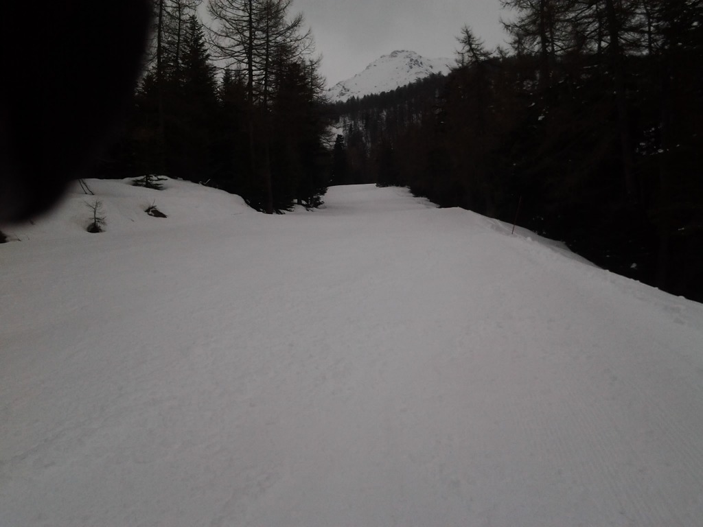 123876-pista-1-martinetto-2014-03-29-14.23.25.jpg