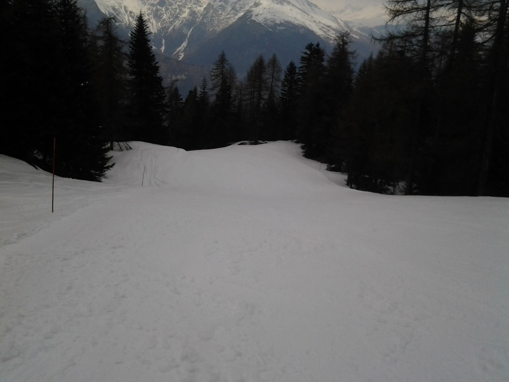 123877-pista-1-martinetto-2014-03-29-14.23.30.jpg