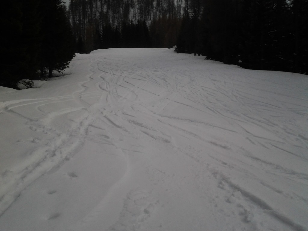123890-2014-03-29-15.20.00.jpg