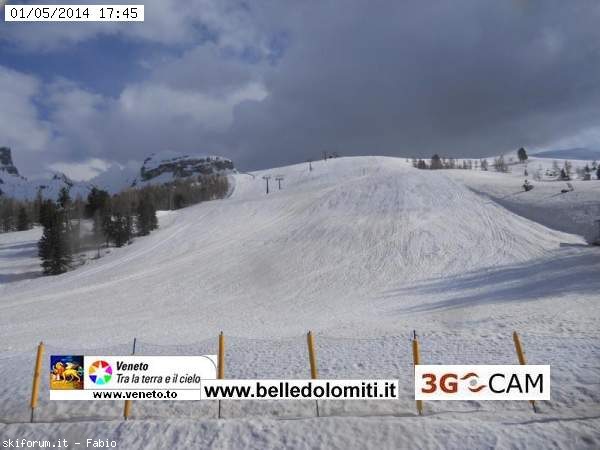125050-colgallina.jpg