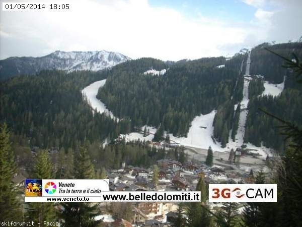 125094-zoldo3.jpg