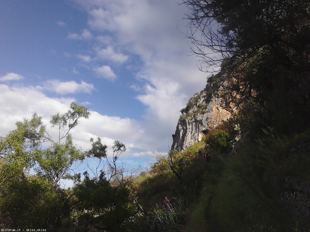 125463-falesie-laziali-mmsimg201405040808050.jpg