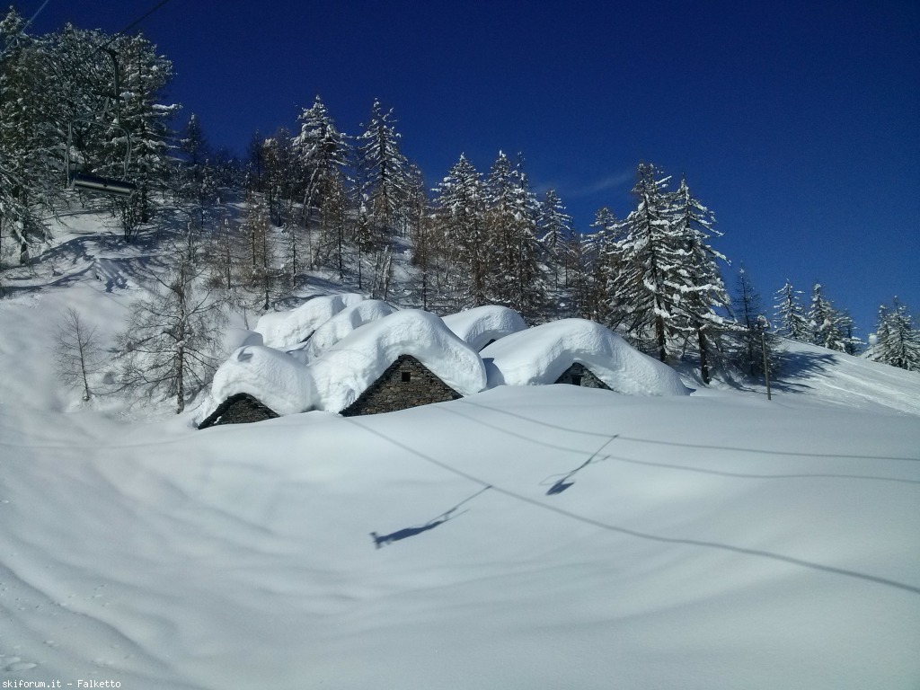 125506-05-domobianca.jpg