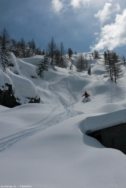 125509-08-aprica.jpg