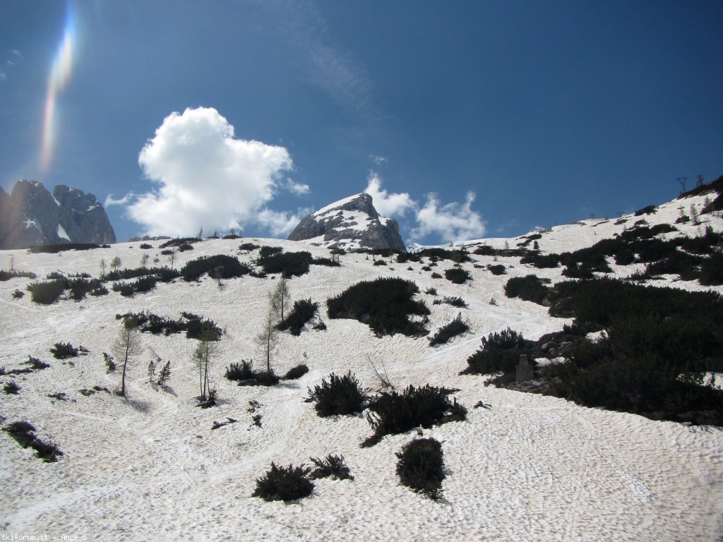 126827-pian-dei-fiacconi-giugno-img1628g.jpg