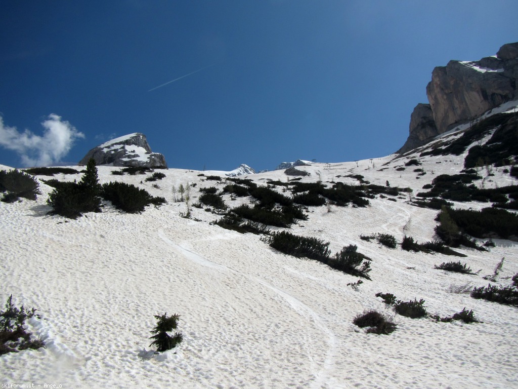 126830-pian-dei-fiacconi-giugno-img1671g.jpg