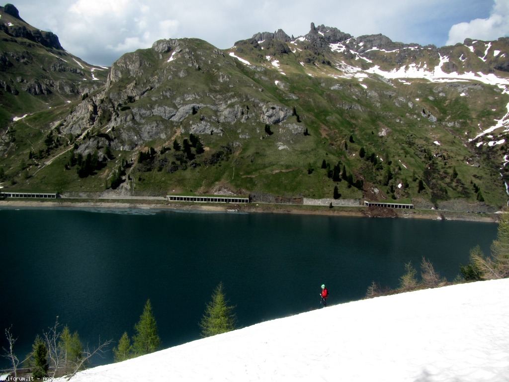 126831-pian-dei-fiacconi-giugno-img1687g.jpg