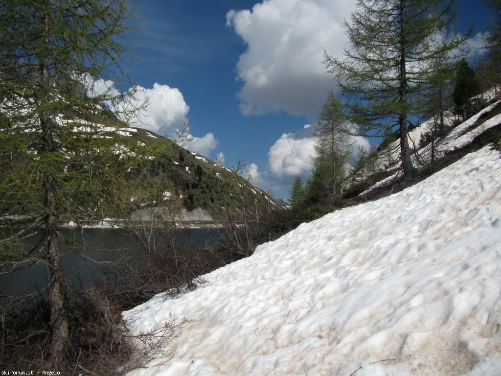 126832-pian-dei-fiacconi-giugno-img1690g.jpg