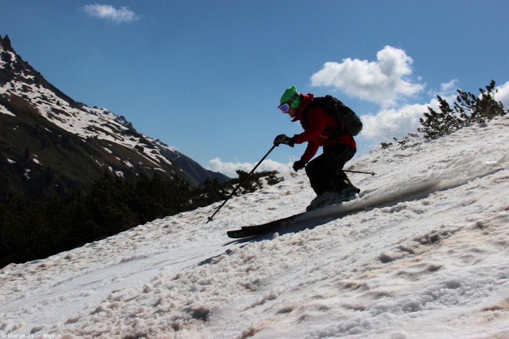 126833-pian-dei-fiacconi-giugno-img2116g.jpg