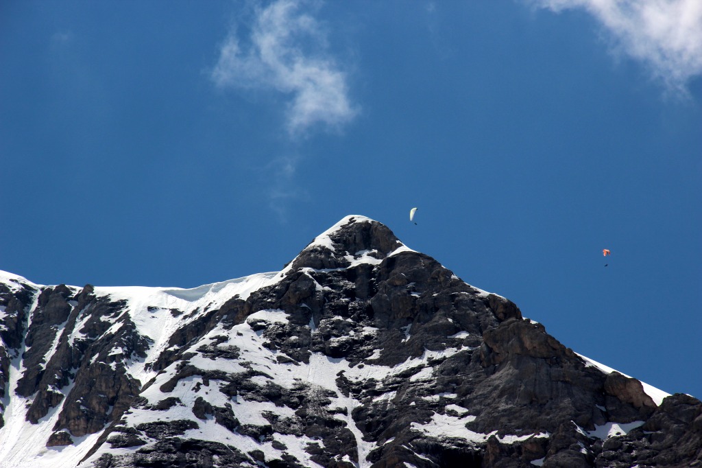 126837-pian-dei-fiacconi-giugno-img2203g.jpg