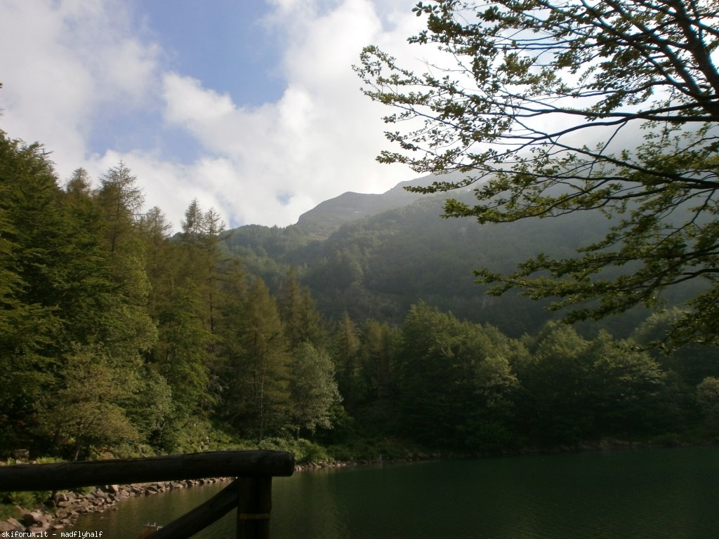 127316-rondinaio-01-p6212100.jpg