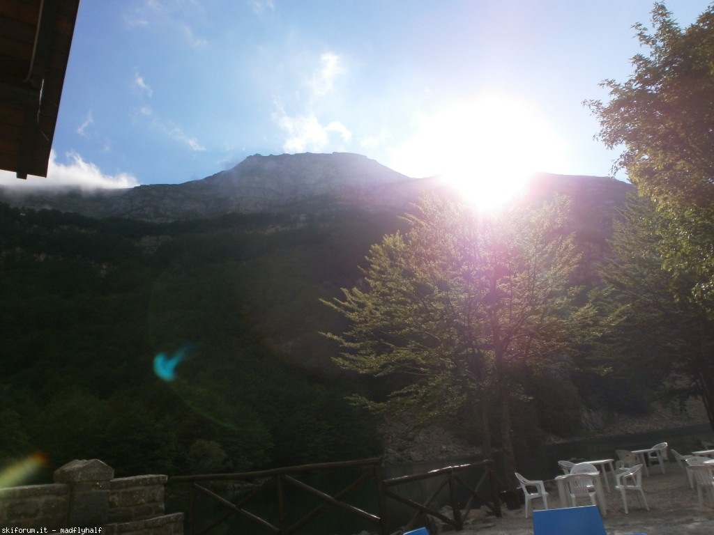 127317-rondinaio-01-p6212112.jpg