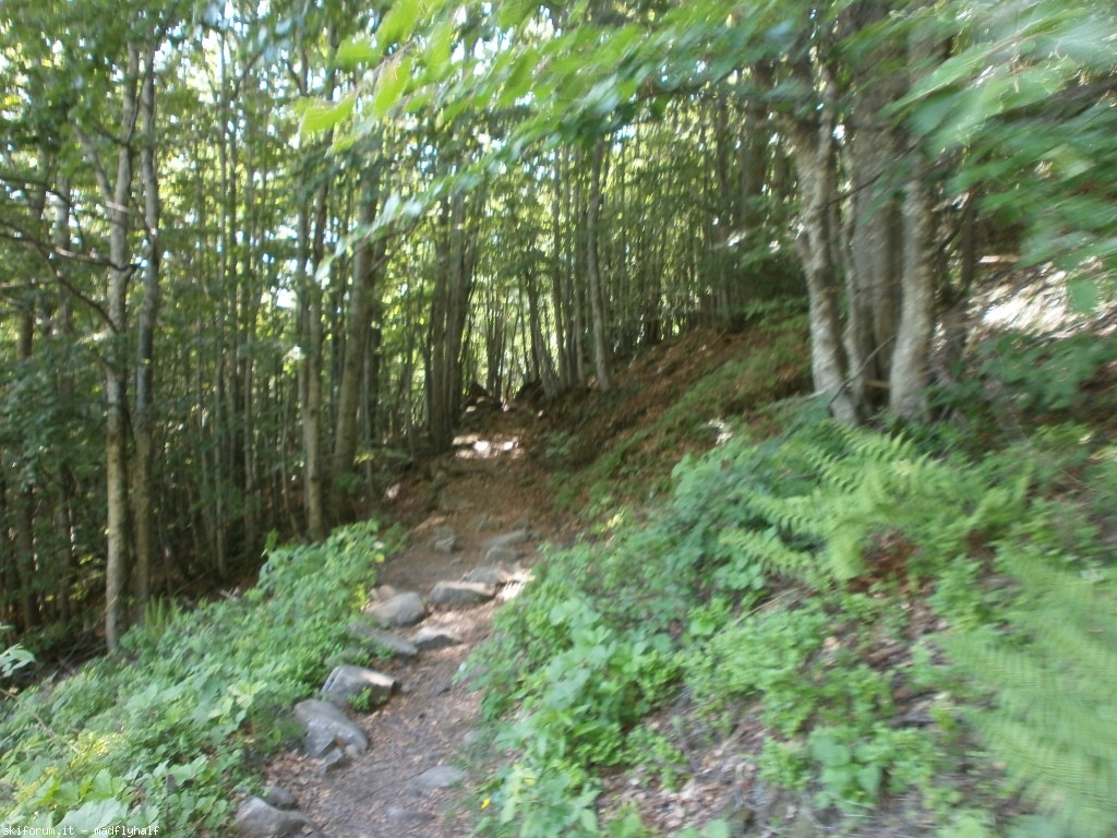 127318-rondinaio-01-p6222125.jpg