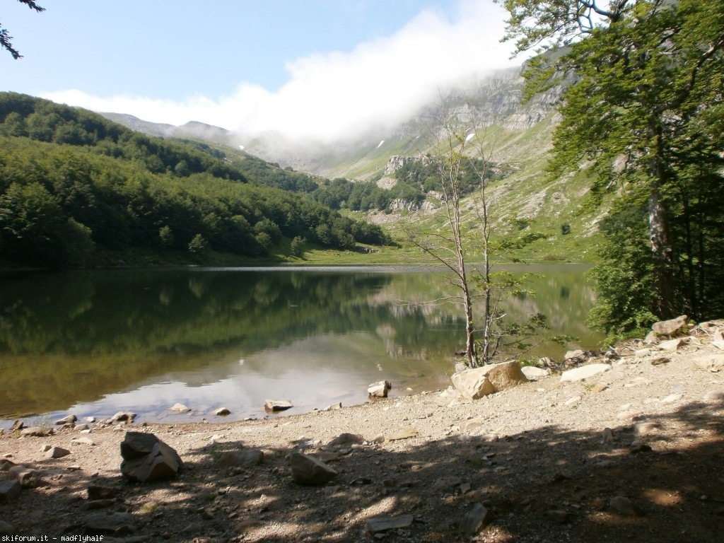 127321-rondinaio-01-p6222133.jpg