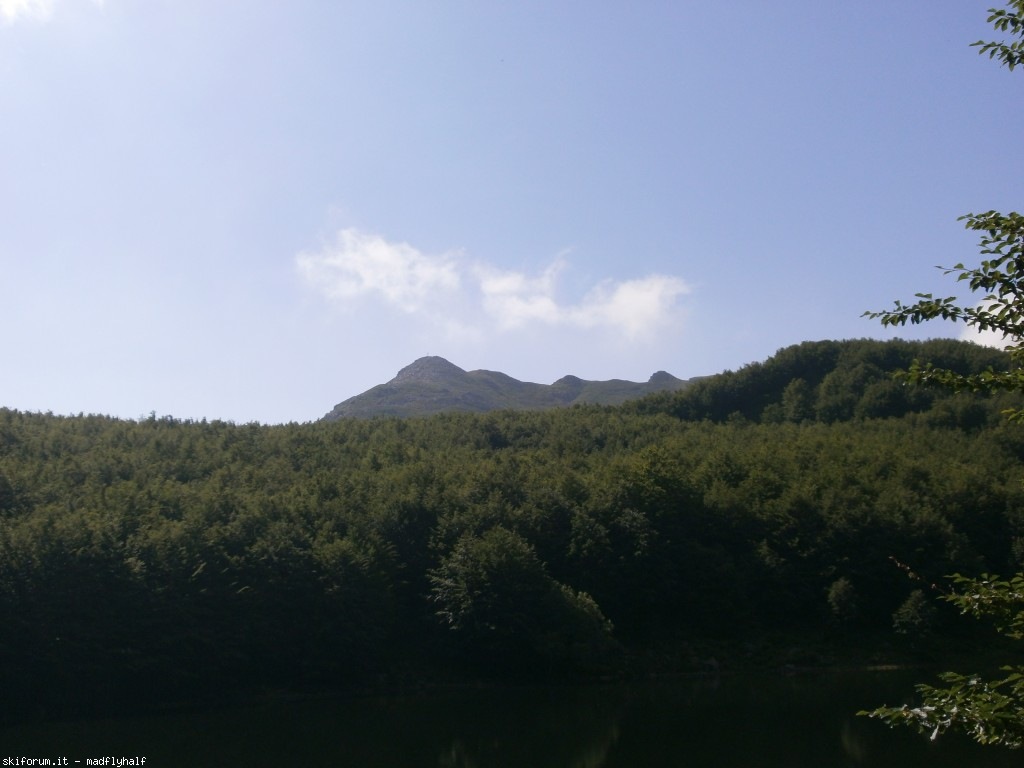 127323-rondinaio-01-p6222141.jpg