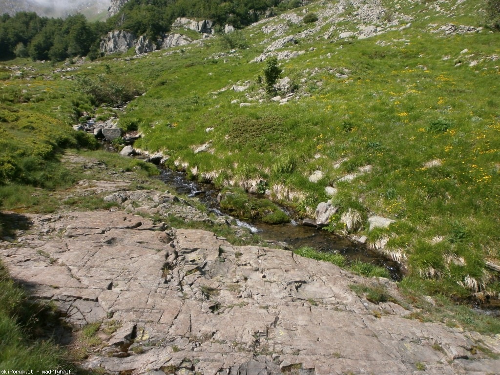127324-rondinaio-01-p6222147.jpg