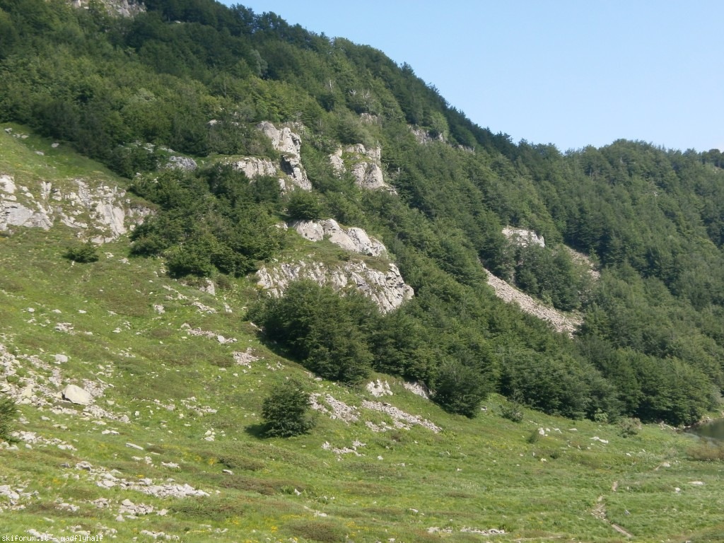 127325-rondinaio-01-p6222148.jpg
