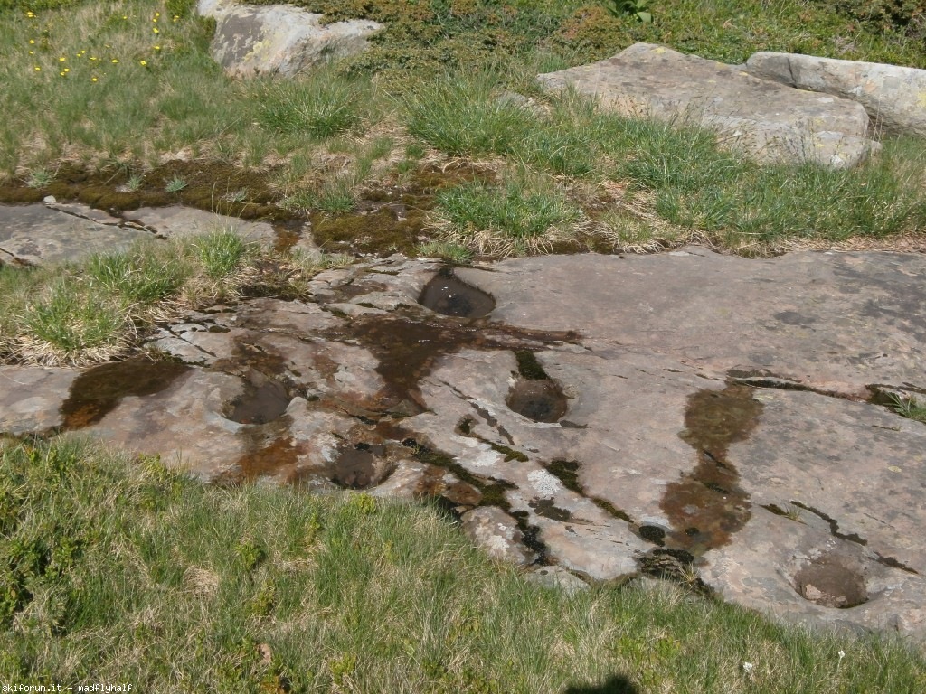 127326-rondinaio-01-p6222150.jpg
