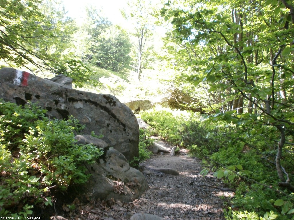 127327-rondinaio-01-p6222152.jpg