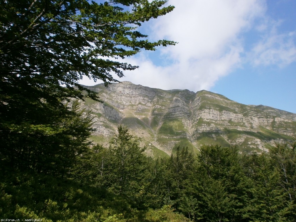 127328-rondinaio-01-p6222153.jpg