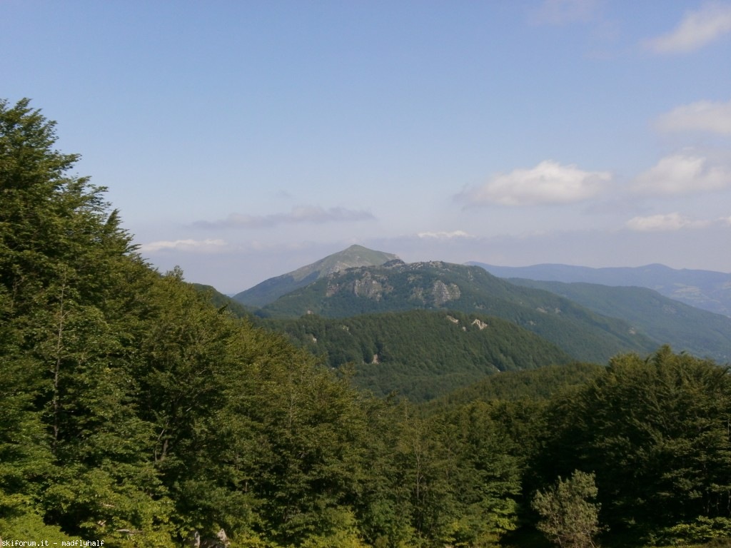 127329-rondinaio-01-p6222154.jpg