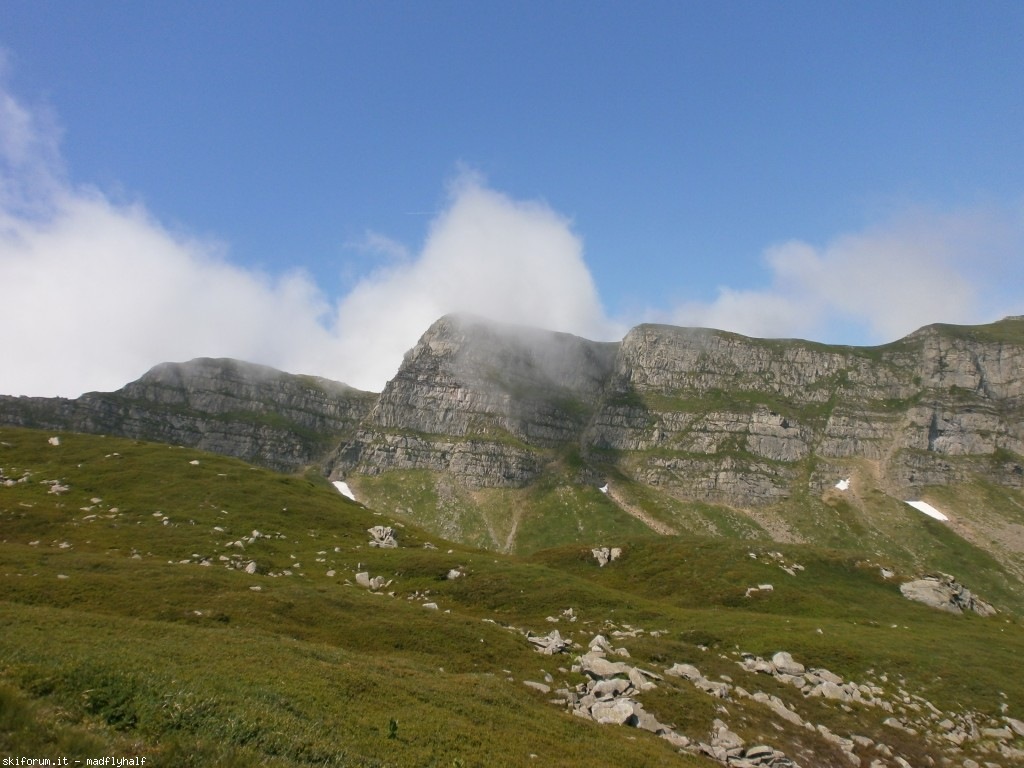 127330-rondinaio-01-p6222158.jpg