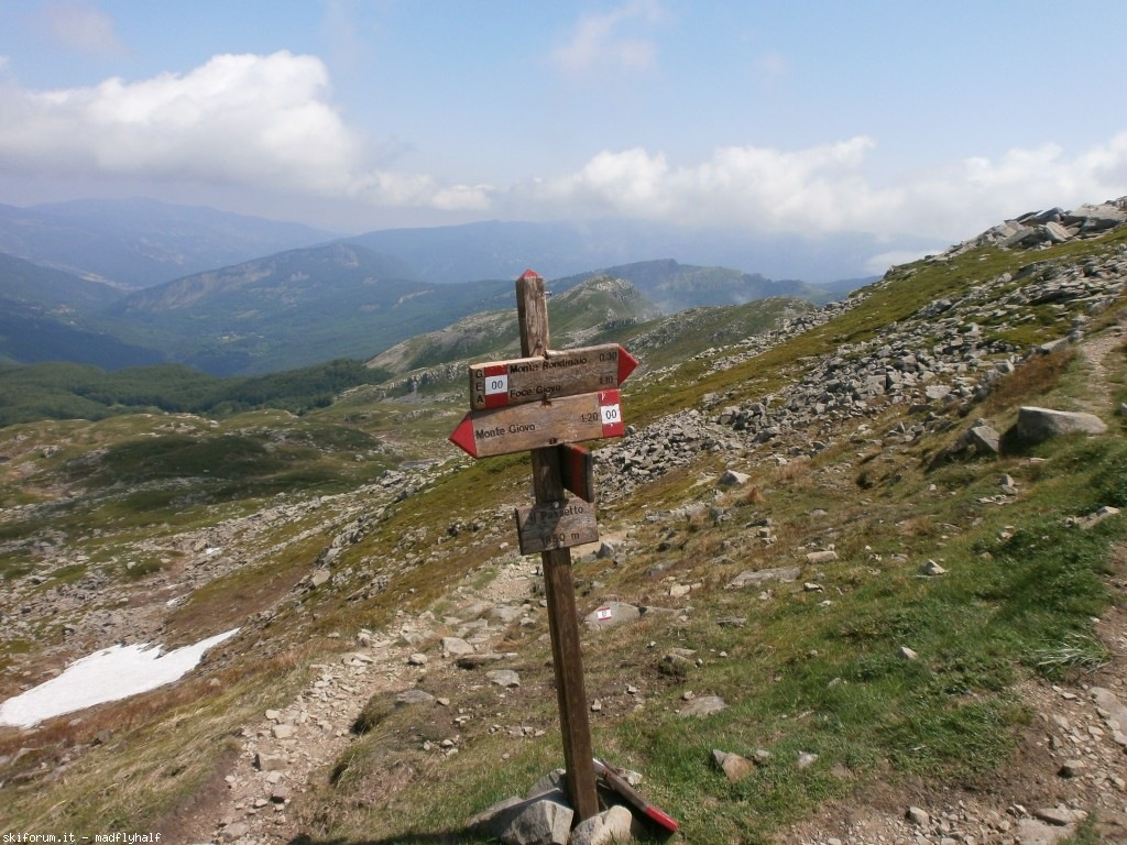 127340-rondinaio-02-p6222185.jpg