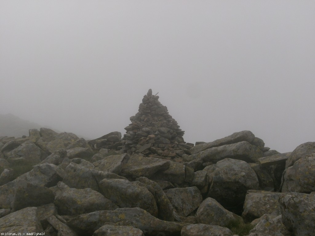 127345-rondinaio-02-p6222225.jpg