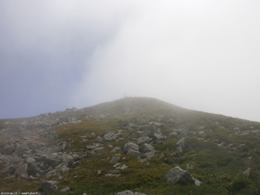 127347-rondinaio-02-p6222228.jpg