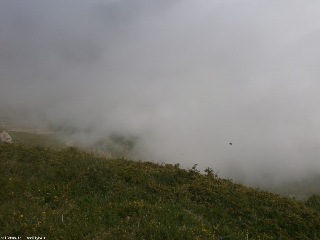 127348-rondinaio-02-p6222229.jpg