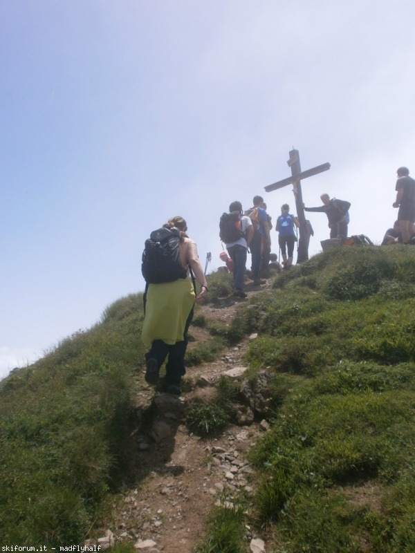 127349-rondinaio-02-p6222230.jpg