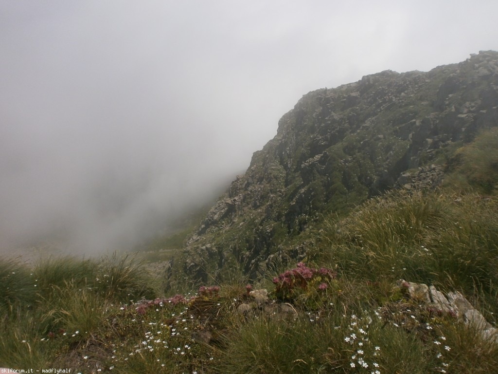 127351-rondinaio-02-p6222232.jpg