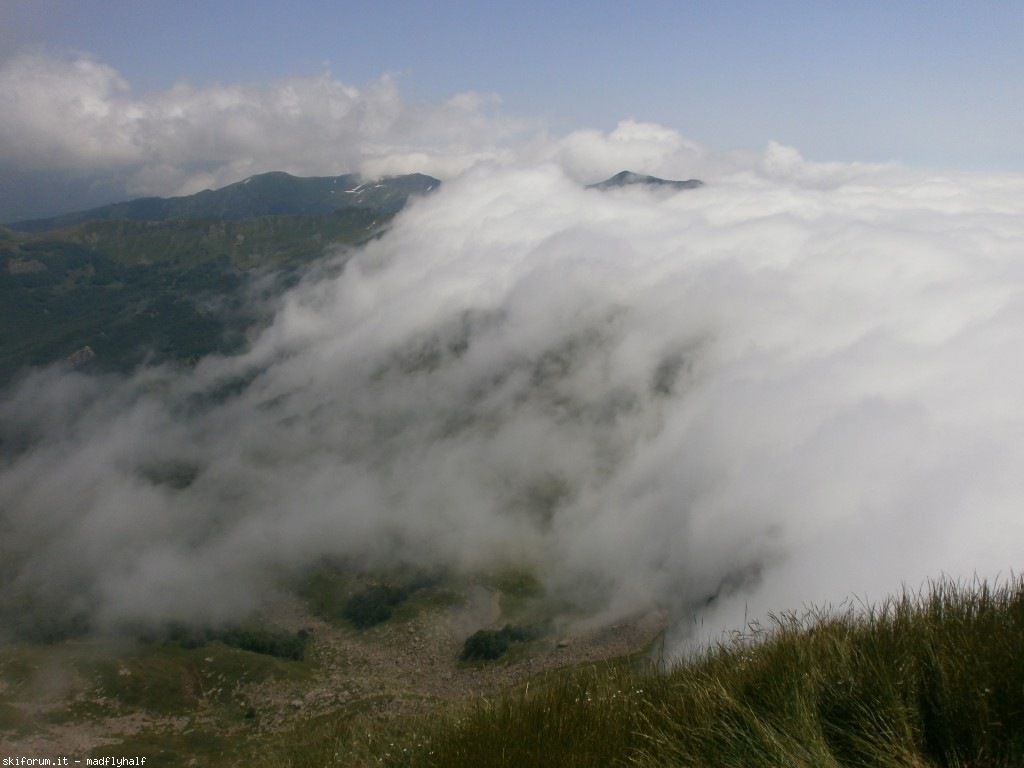 127354-rondinaio-03-p6222239.jpg